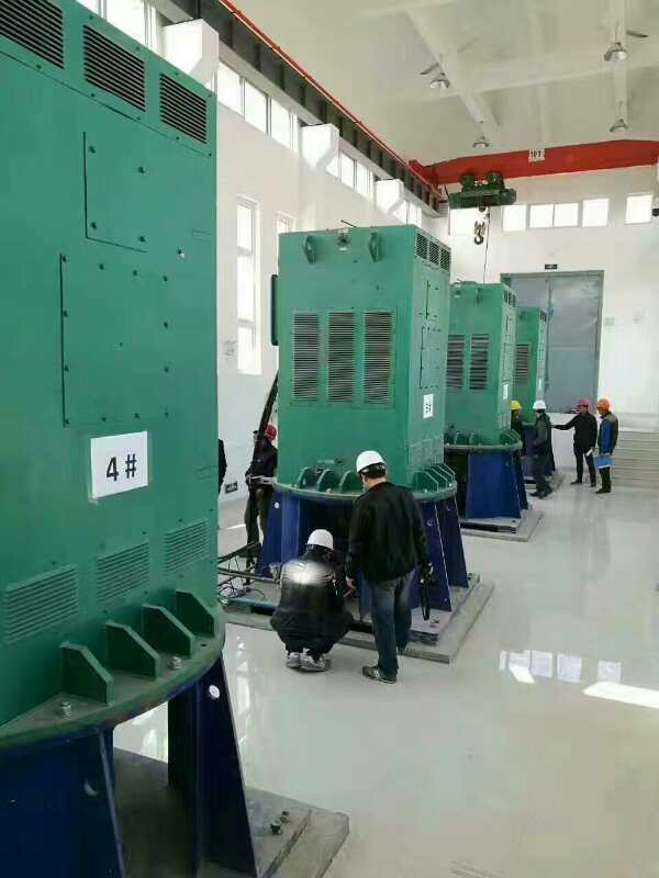 YKK5002-8某污水处理厂使用我厂的立式高压电机安装现场