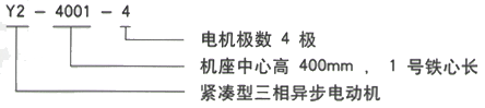 YR系列(H355-1000)高压YKK5002-8三相异步电机西安西玛电机型号说明